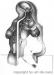 DE SANS Sigbert A. - Mutationsbeh�ltnis Mann/Frau (Kunstdruck