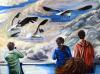 KUTTENBERGER Reiner - Ornithology (2009)