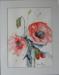 HAUSWIRTH Maria - mohn