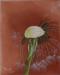 HAUSWIRTH Maria - alles ist verg�nglich...........