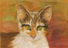 ISLAK-TONGO Servet - Karo �l-pastell