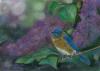ISLAK-TONGO Servet - Blauer Vogel am Flieder