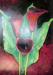 WOLLMANN Simone - Red Calla