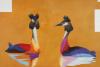 WEBER Albert - PODICEPS CRISTATUS