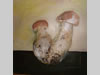 KR�GER Gisela Wendy - Steinpilze