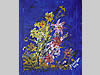 UNTERTROGER Franz - Blumen